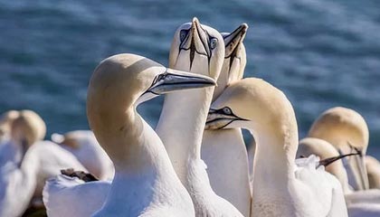 【2025最新】广佛高端私人茶室TOP10,品味与格调并存